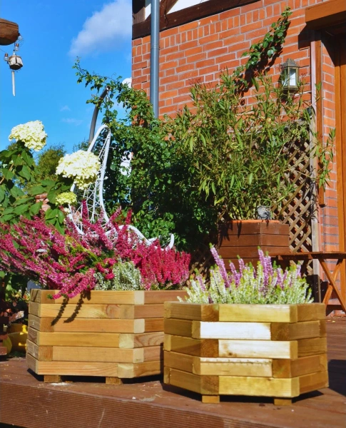 Royal Hexagonal Planter