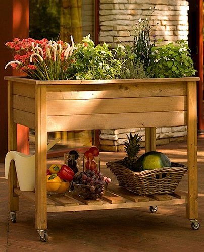 Provence Veggie Planter