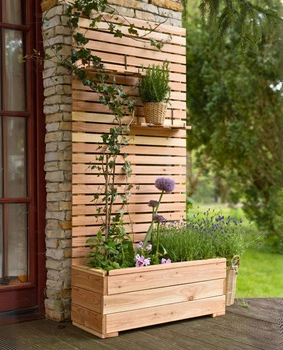 Piano Larix Planter