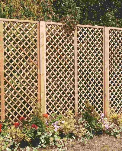 English Trellis h183 x 180 cm