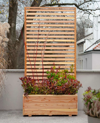 Venetian Larix Planter