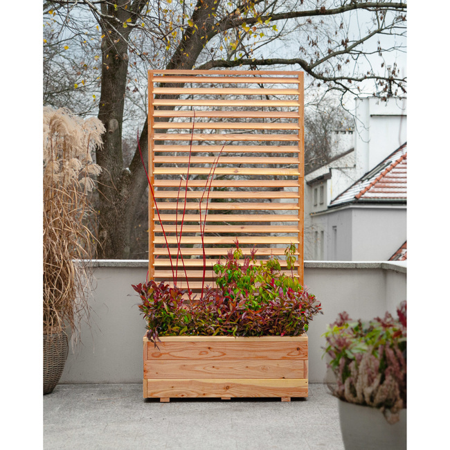 Venetian Larix Planter