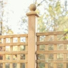 Elegance Trellis