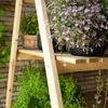 Hector Plant Stand
