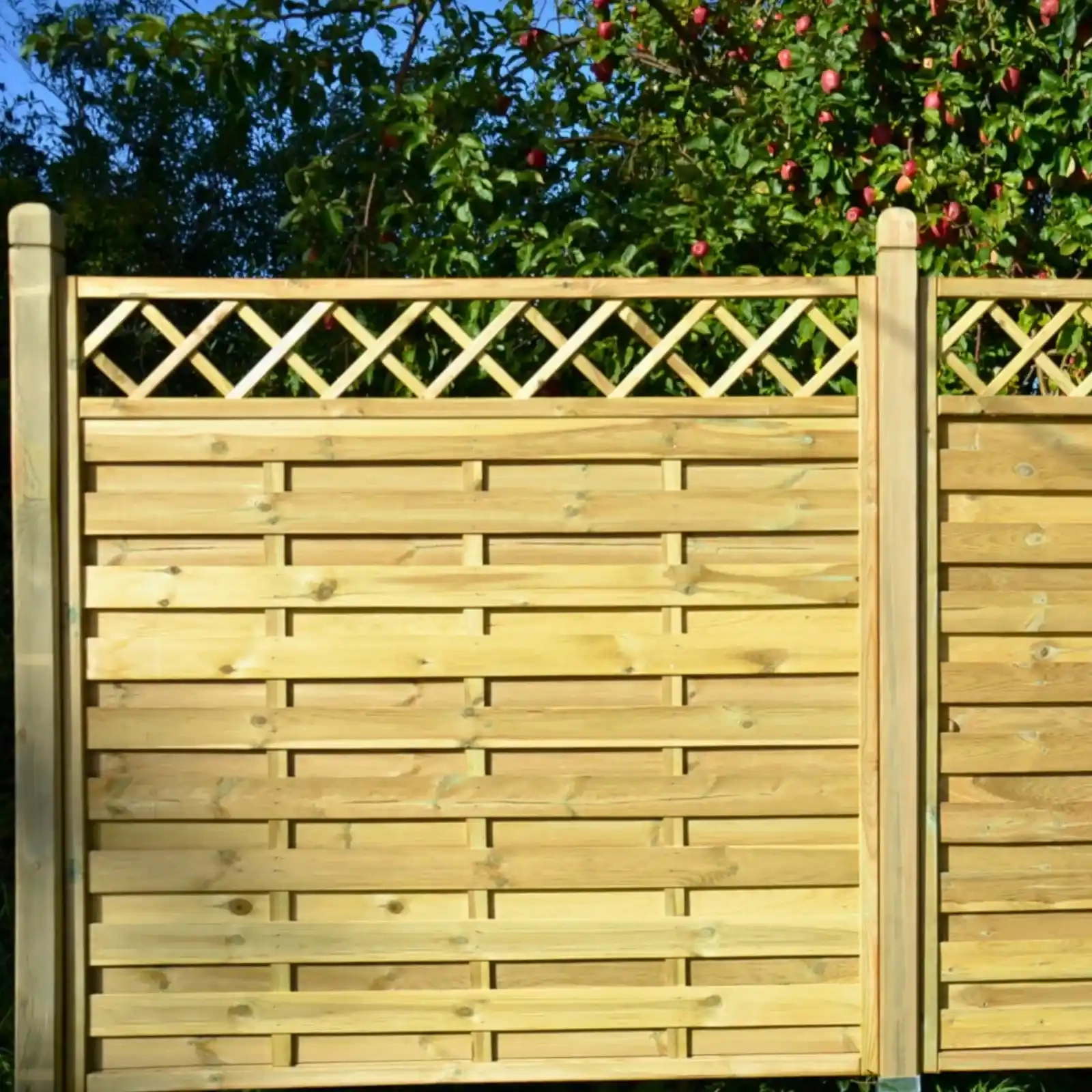 Hamburg Simple Fence with Trellis
