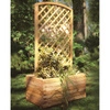 Rectangular Planter with Trellis