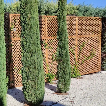 Traliccio Premier h 150 x 180 cm