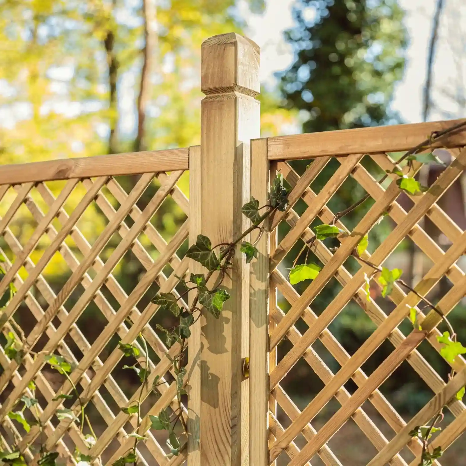 Traliccio Tartan 183 x 60 cm