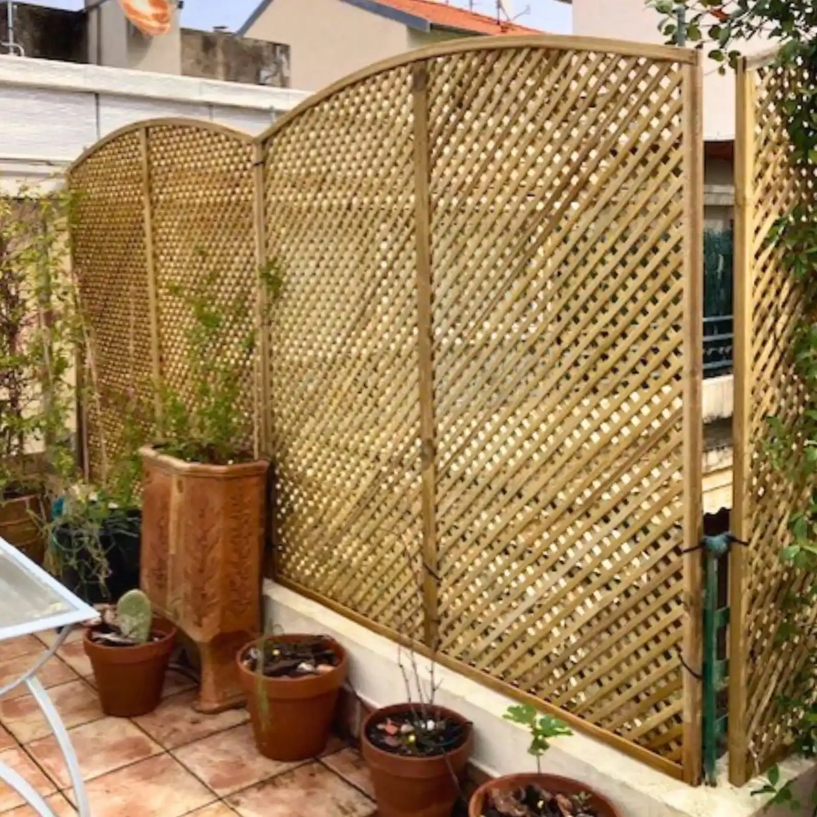 Traliccio Clementine ad arco h183/193/183 x 90 cm