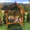 Orio Arbour