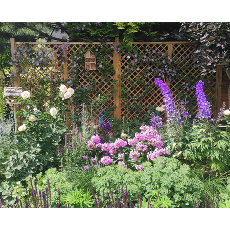 English Trellis