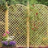 English Trellis Convex