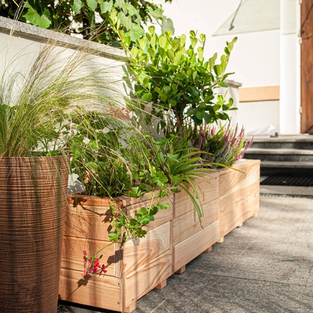 Larix Planter