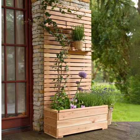 Piano Larix Planter