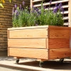 Venetian Larix Planter