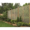 English Trellis