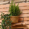 Piano Larix Planter Shelf on Hooks