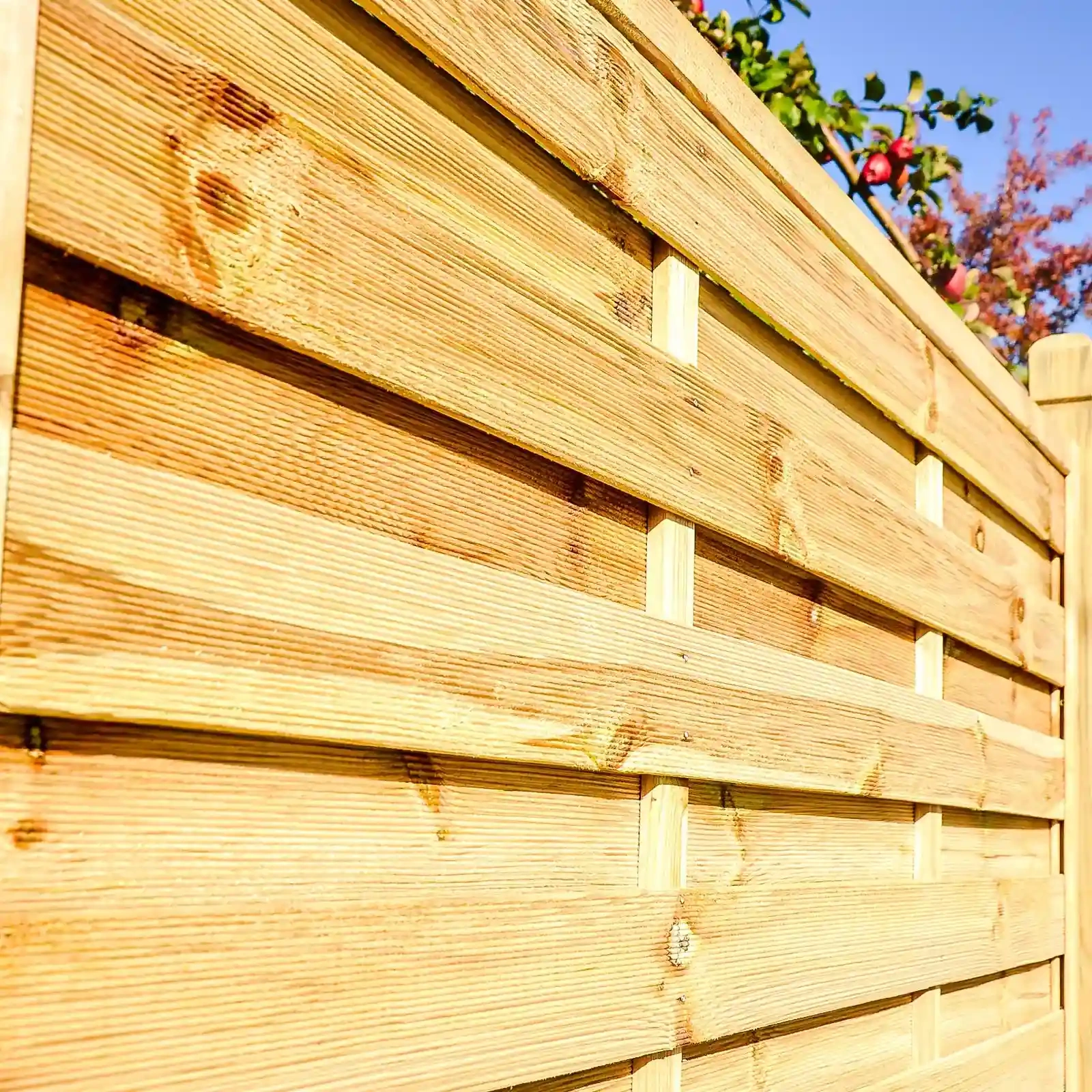 Hamburg Simple Fence with Trellis