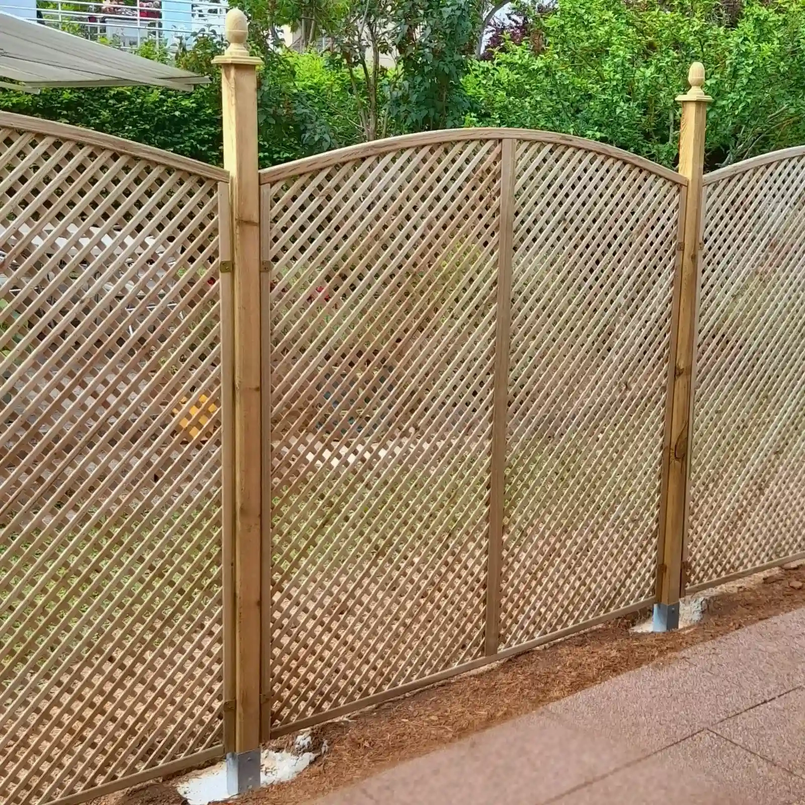 Traliccio Clementine ad arco h183/193/183 x 90 cm