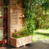 Venetian Larix Planter