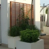 Oslo Trellis