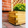 Rectangular Planter with Trellis
