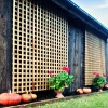 Elegance Trellis