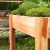 Maggie Veggie Bed Larch