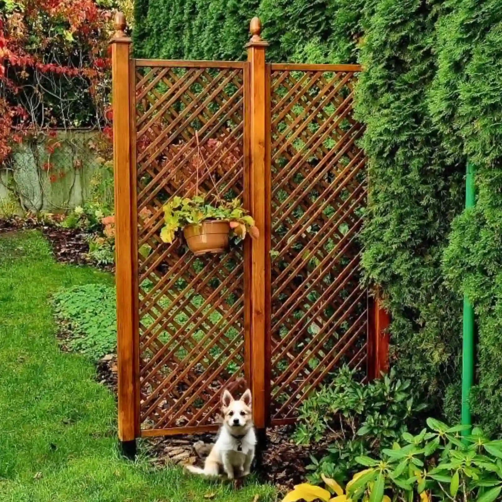 Traliccio Tartan 183 x 183 cm