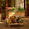Provence Veggie Planter
