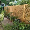 Privacy Diamond Trellis