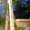 Hector Plant Stand
