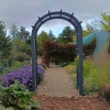 Rose Garden Arch Classic