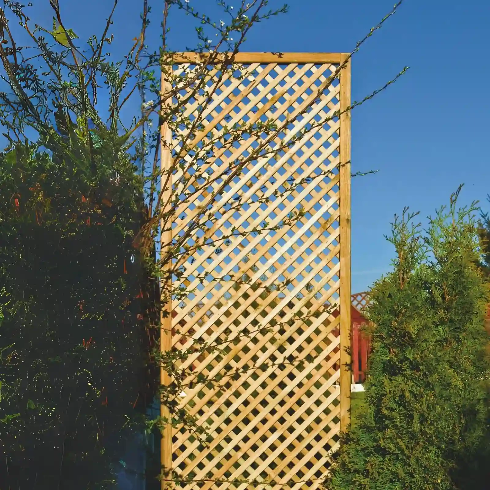 Privacy Diamond Trellis h183 x 180 cm
