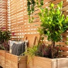 Larch Contemporary Venetian Panel
