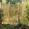 Elegance Trellis