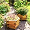 Royal Hexagonal Planter