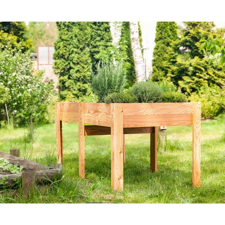 Maggie veg bed larch