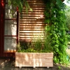 Venetian Larix Planter