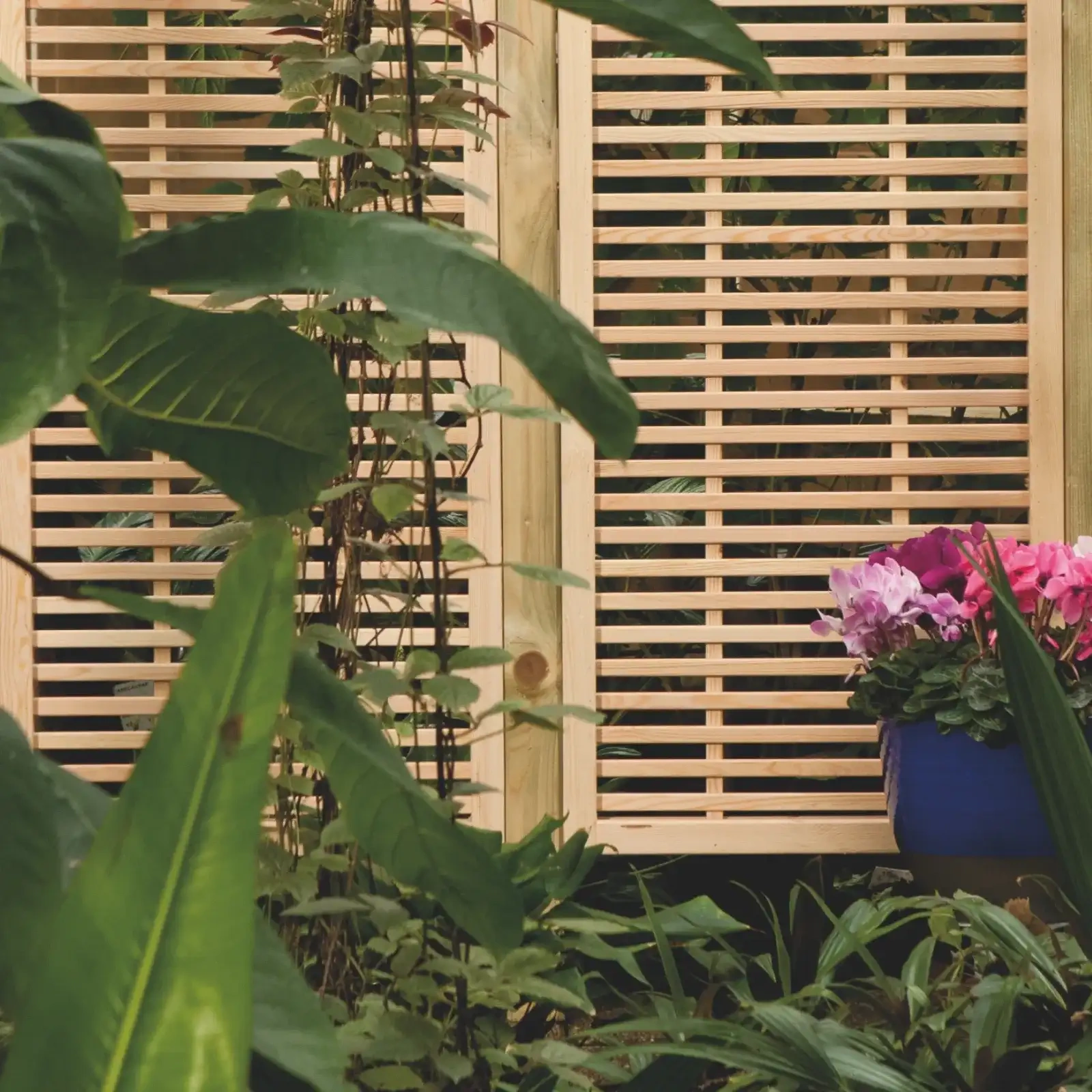 Pannello frangisole Oslo h100 x 180 cm