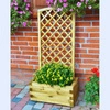 Rectangular Planter with Trellis